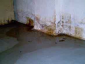 seepage-services